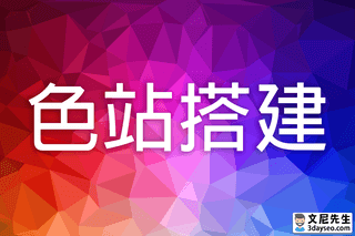 色站搭建服務